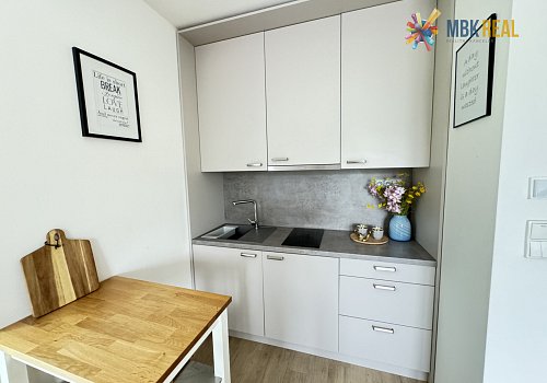 Prodej horského apartmánu na Dolní Moravě  - 103235