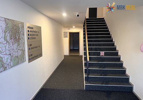 Prodej zavedeného horského apartmánu na Dolní Moravě - Větrný vrch - 103954