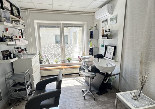 Pronájem prostor na lukrativním místě v centru Brna - 104196