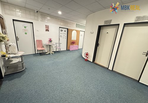 Pronájem prostor na lukrativním místě v centru Brna - 104198